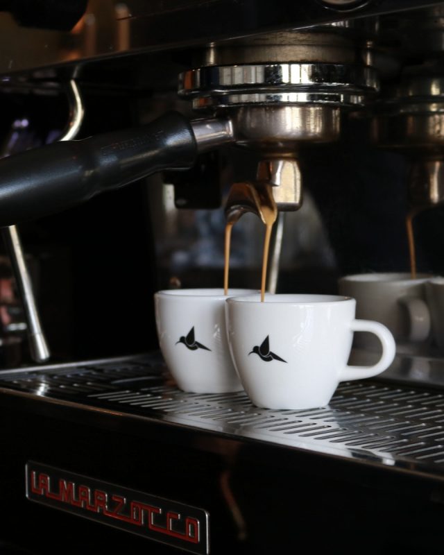 ACME x Kolibri Cup