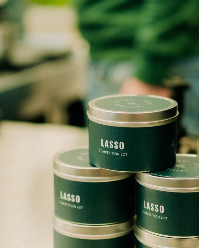 Lasso - Competition Lot