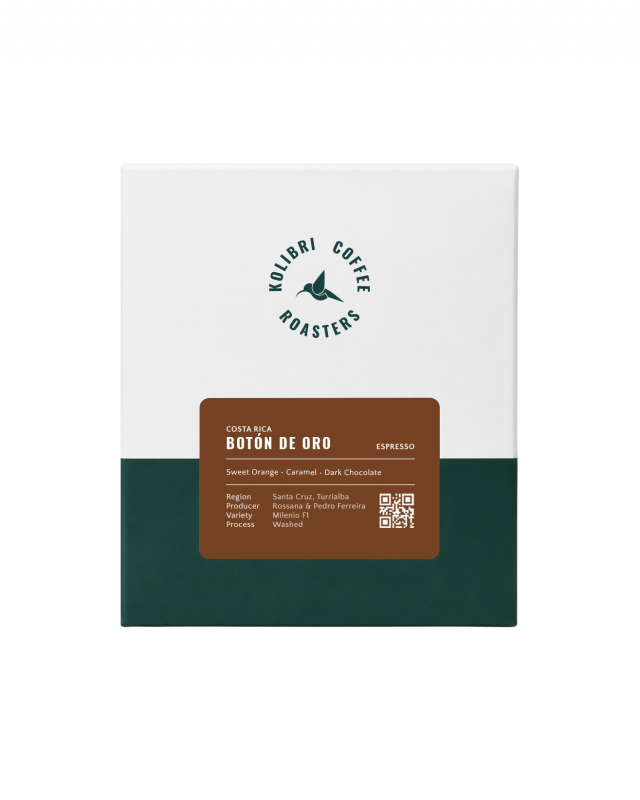 Boton de Oro - Washed