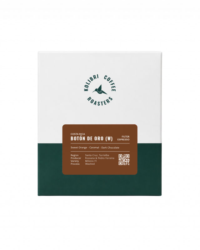 Boton de Oro - Washed